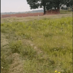 Plot -2