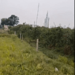Plot 3
