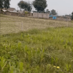 Plot 4